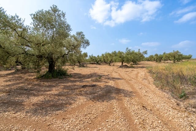 Quinta/Casa Rural para venda em Ulldecona - 7 000 € (Ref: 8484941)