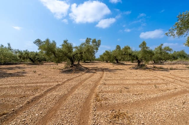 Quinta/Casa Rural para venda em Ulldecona - 7 000 € (Ref: 8484941)