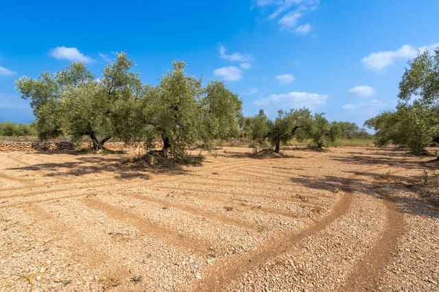 Quinta/Casa Rural para venda em Ulldecona - 7 000 € (Ref: 8484941)