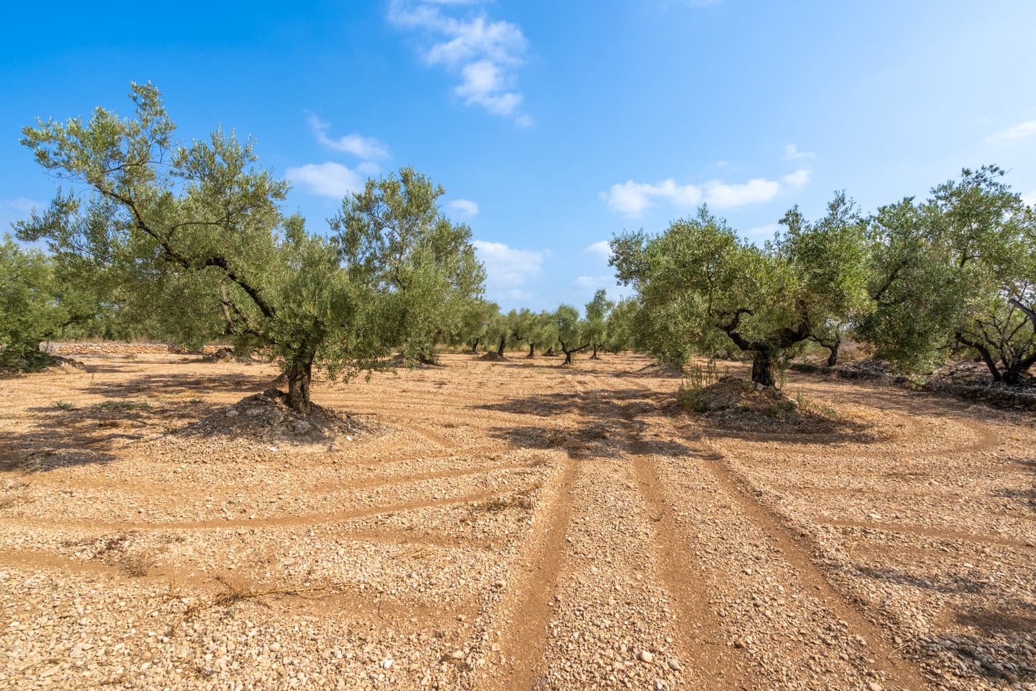 Finca/Herregård til salgs i Ulldecona - € 7 000 (Ref: 8484941)