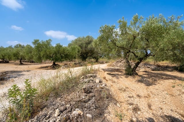 Quinta/Casa Rural para venda em Ulldecona - 7 000 € (Ref: 8484941)