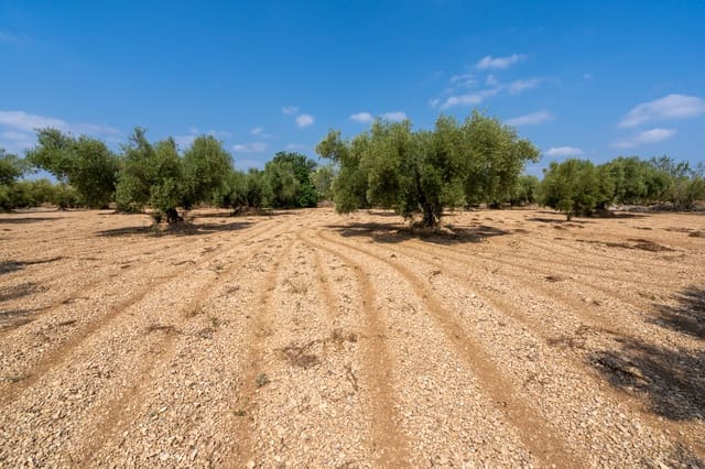 Finca/Country House for sale in Ulldecona - € 6,000 (Ref: 8484955)