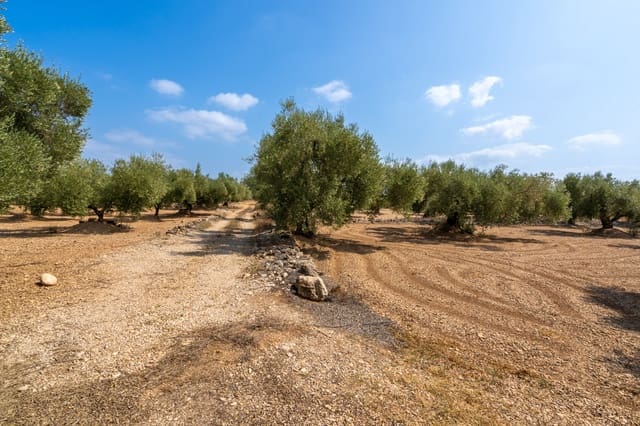 Finca/Country House for sale in Ulldecona - € 6,000 (Ref: 8484955)