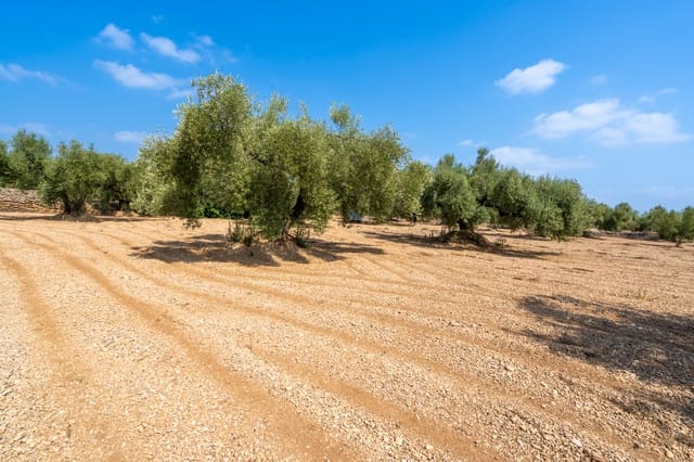 Finca/Country House for sale in Ulldecona - € 6,000 (Ref: 8484955)