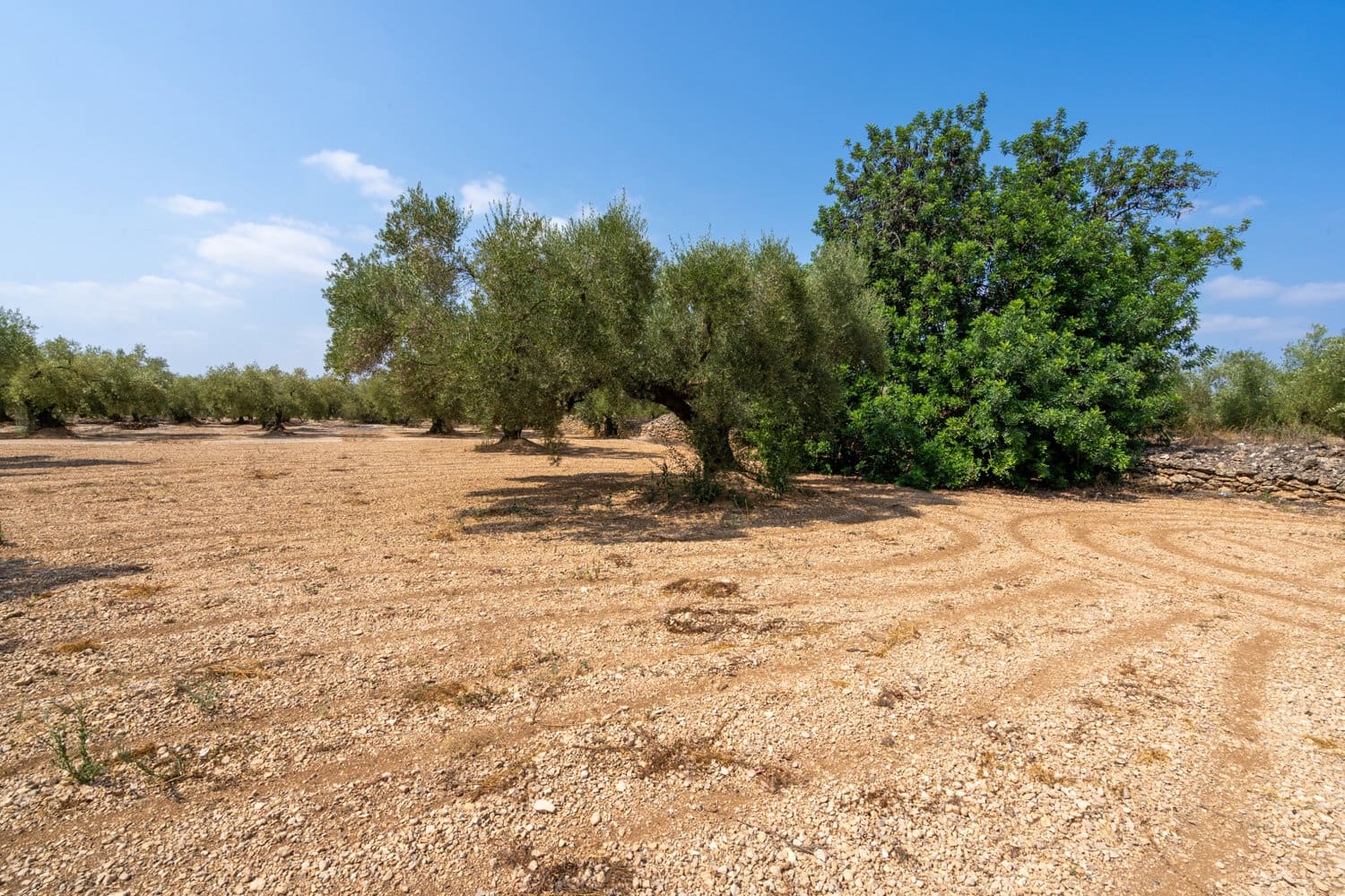 Finca/Landhuis te koop in Ulldecona - € 6.000 (Ref: 8484955)