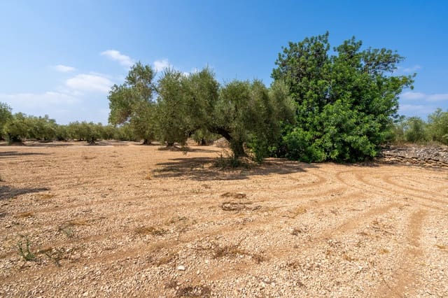 Quinta/Casa Rural para venda em Ulldecona - 6 000 € (Ref: 8484955)