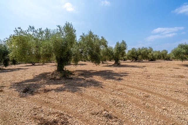 Quinta/Casa Rural para venda em Ulldecona - 6 000 € (Ref: 8484955)