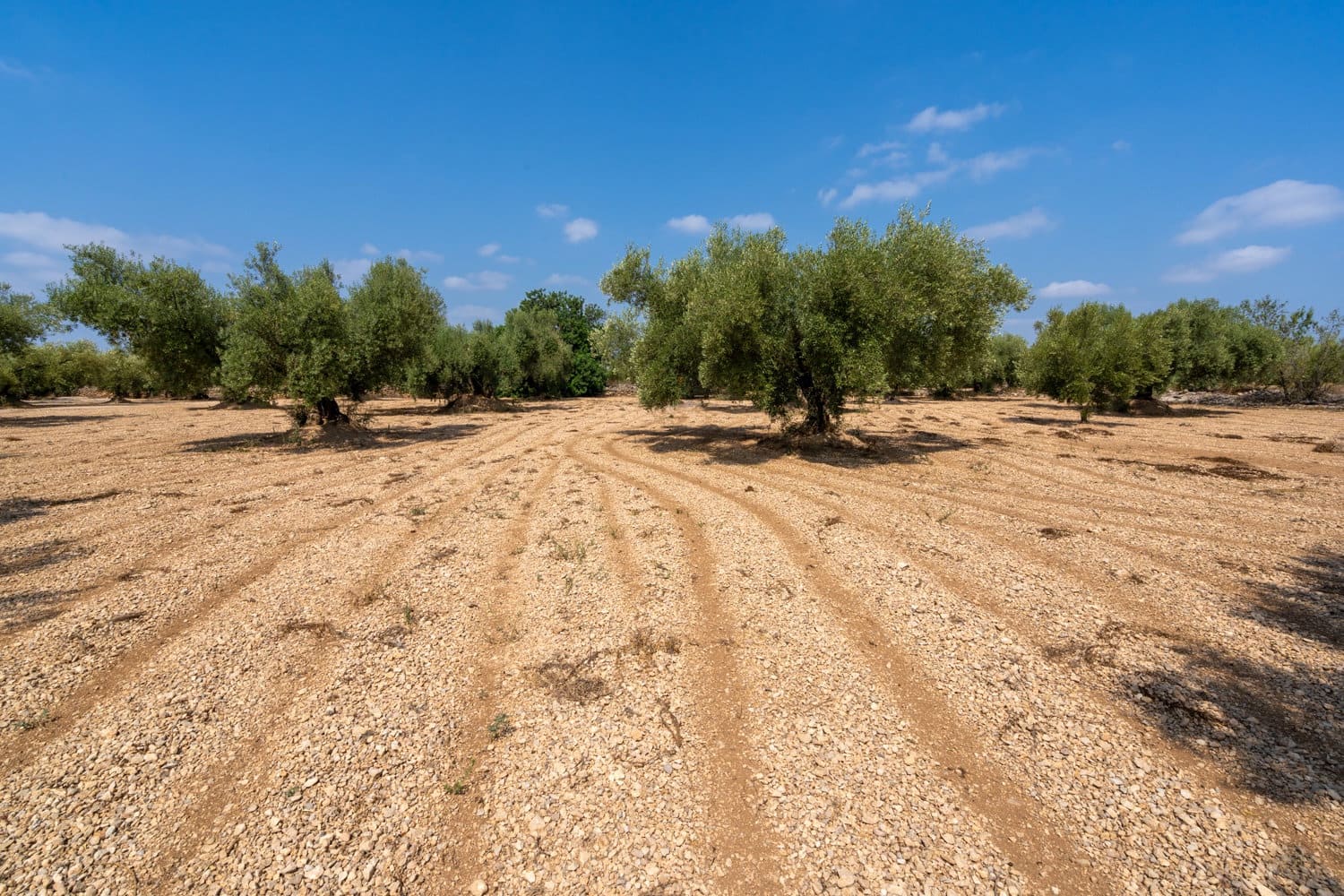 Finca/Landhuis te koop in Ulldecona - € 6.000 (Ref: 8484955)