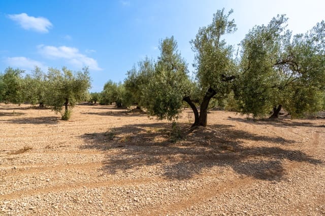 Quinta/Casa Rural para venda em Ulldecona - 6 000 € (Ref: 8484955)