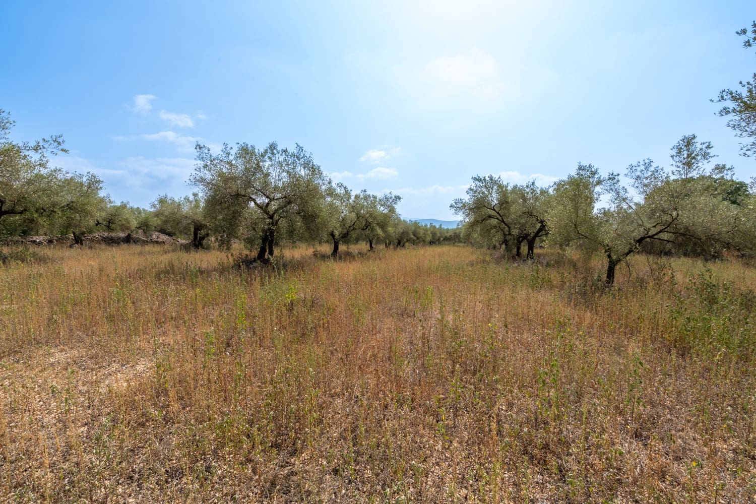 Finca/Country House for sale in Ulldecona - € 8,000 (Ref: 8484956)