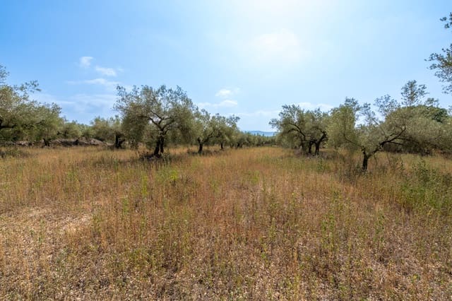 Finca/Country House for sale in Ulldecona - € 8,000 (Ref: 8484956)