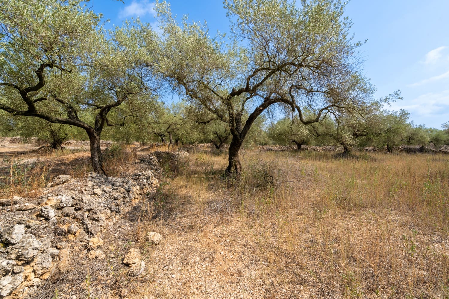 Finca/Country House for sale in Ulldecona - € 8,000 (Ref: 8484956)