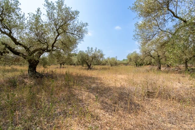 Finca/Country House for sale in Ulldecona - € 8,000 (Ref: 8484956)