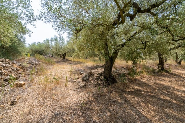 Finca/Country House for sale in Ulldecona - € 8,000 (Ref: 8484956)