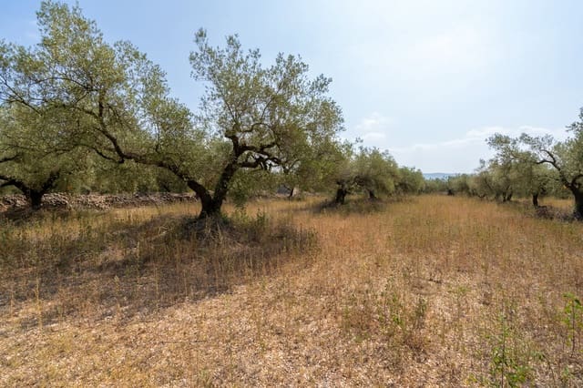Quinta/Casa Rural para venda em Ulldecona - 8 000 € (Ref: 8484956)