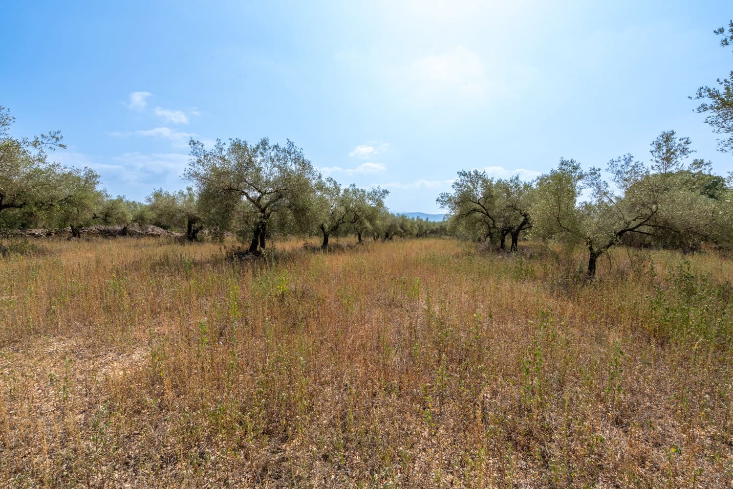 Finca/Herregård til salgs i Ulldecona - € 8 000 (Ref: 8484956)