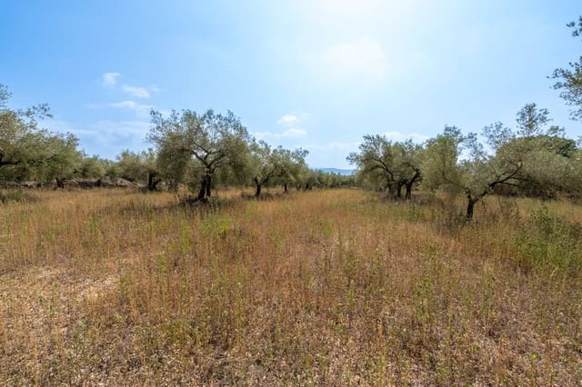 Quinta/Casa Rural para venda em Ulldecona - 8 000 € (Ref: 8484956)