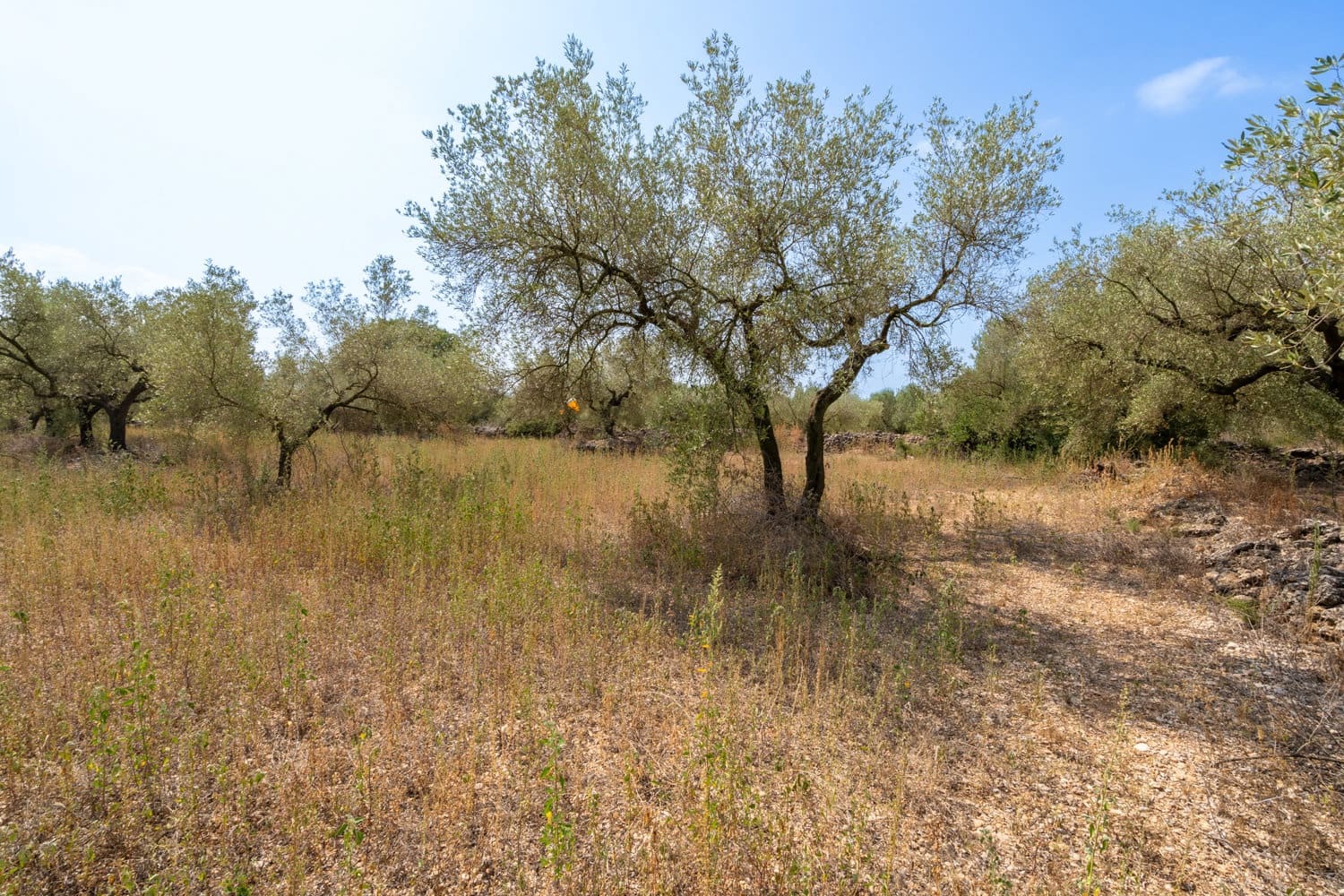 Finca/Herregård til salgs i Ulldecona - € 8 000 (Ref: 8484956)