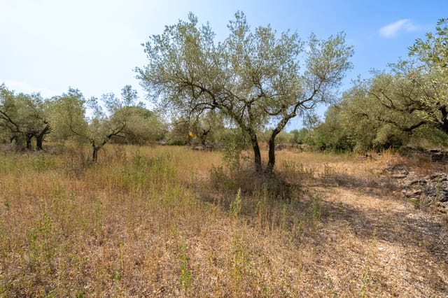 Quinta/Casa Rural para venda em Ulldecona - 8 000 € (Ref: 8484956)