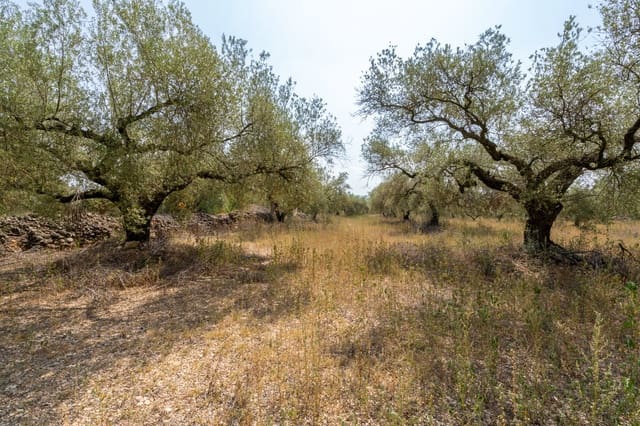 Quinta/Casa Rural para venda em Ulldecona - 8 000 € (Ref: 8484956)