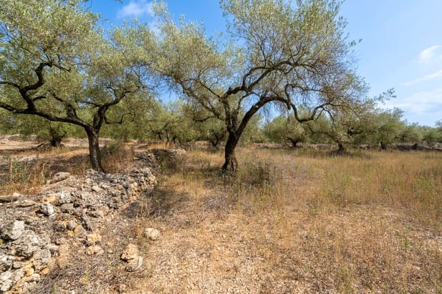 Quinta/Casa Rural para venda em Ulldecona - 8 000 € (Ref: 8484956)
