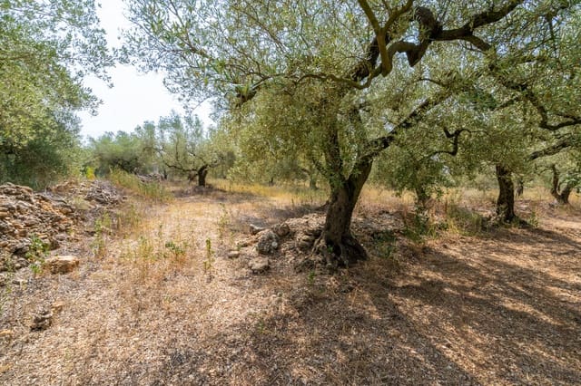 Quinta/Casa Rural para venda em Ulldecona - 8 000 € (Ref: 8484956)