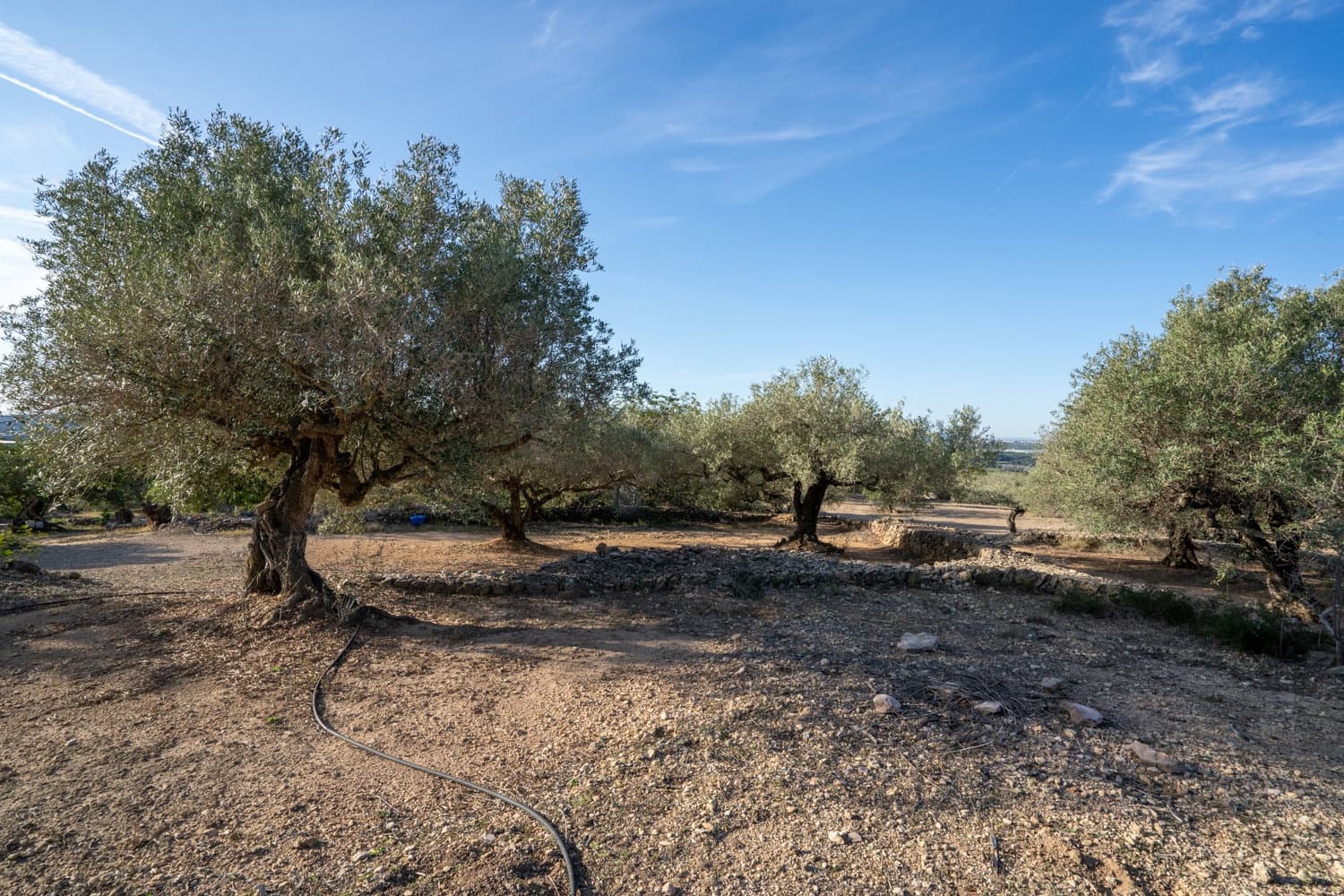 1 Zimmer Finca/Landgut zu verkaufen in Tortosa mit Pool - 95.000 € (Ref: 8532281)