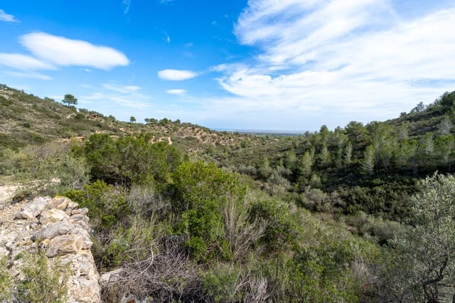 Finca/Herregård til salgs i Camp-redo, Tortosa - € 32 000 (Ref: 8585757)