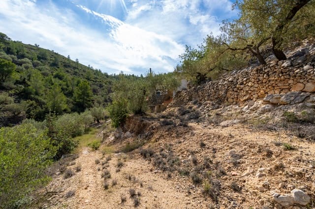Finca/Casa Rural en Tortosa en venta - 32.000 € (Ref: 8585757)