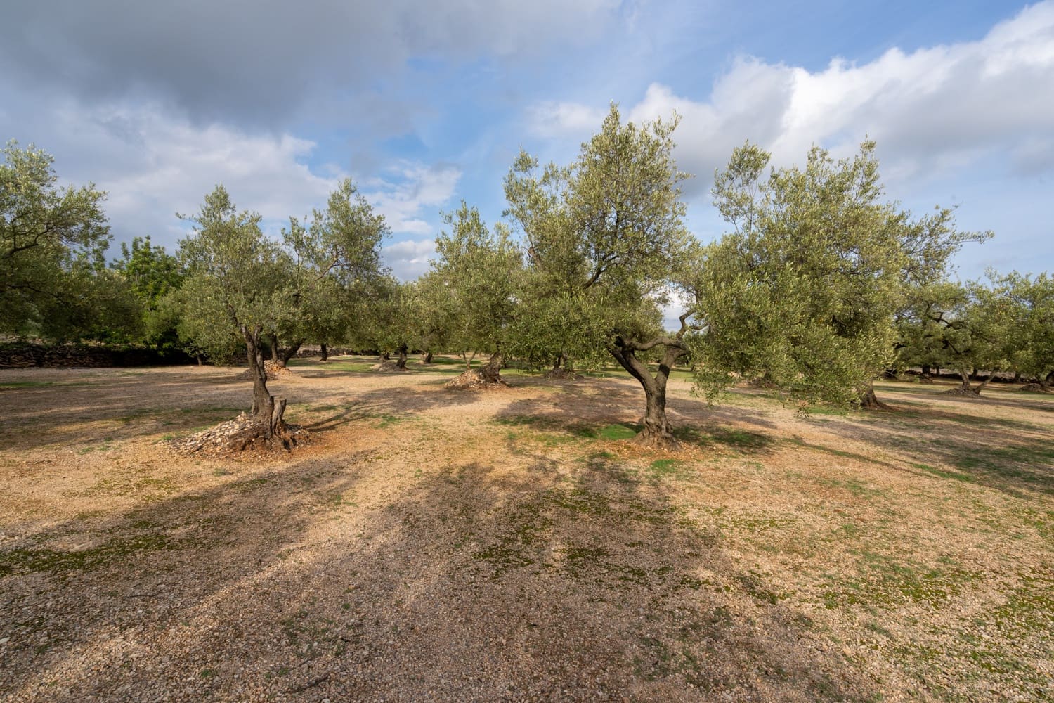 Finca/Herregård til salgs i Ulldecona - € 39 000 (Ref: 8604179)