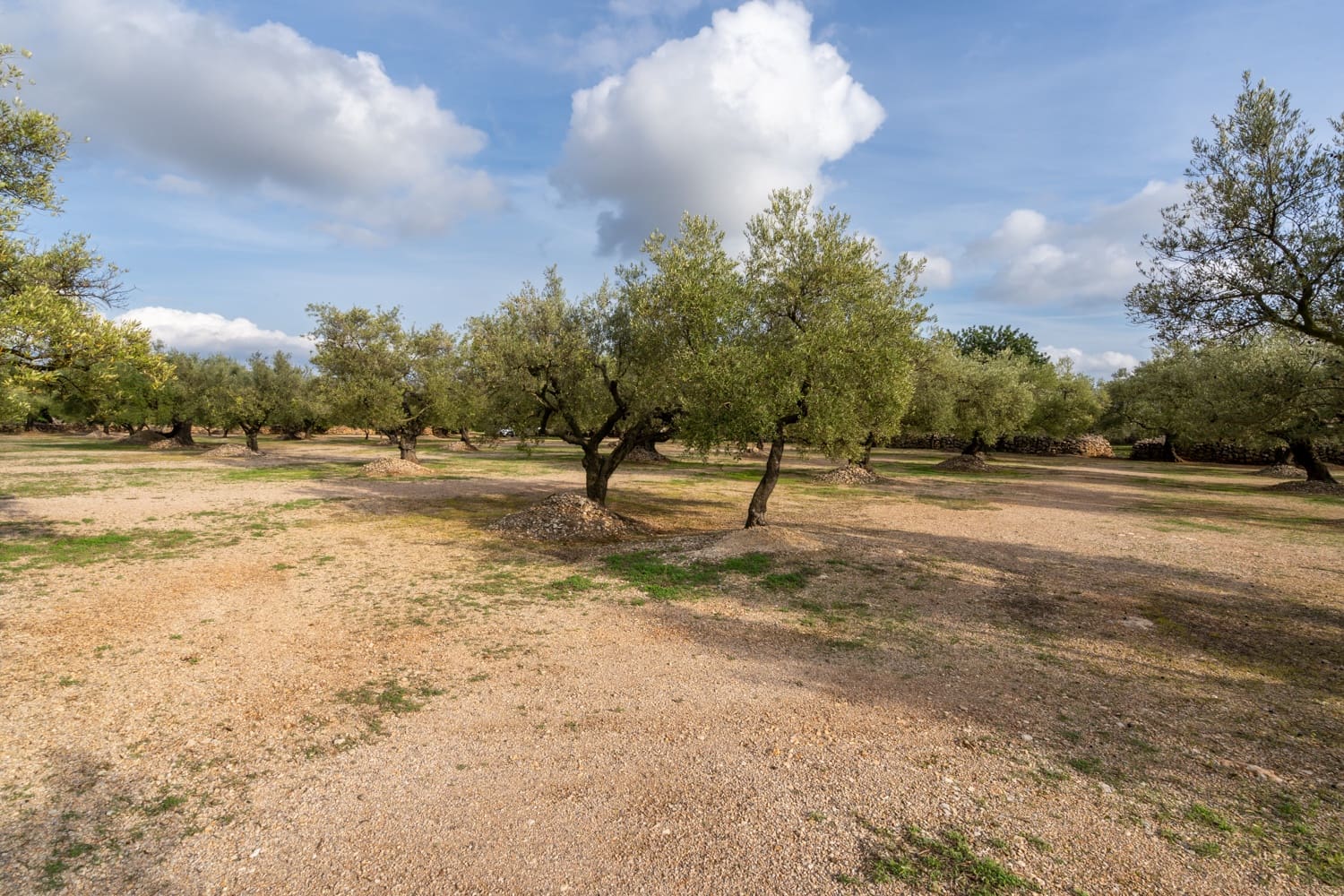 Finca/Herregård til salgs i Ulldecona - € 39 000 (Ref: 8604179)