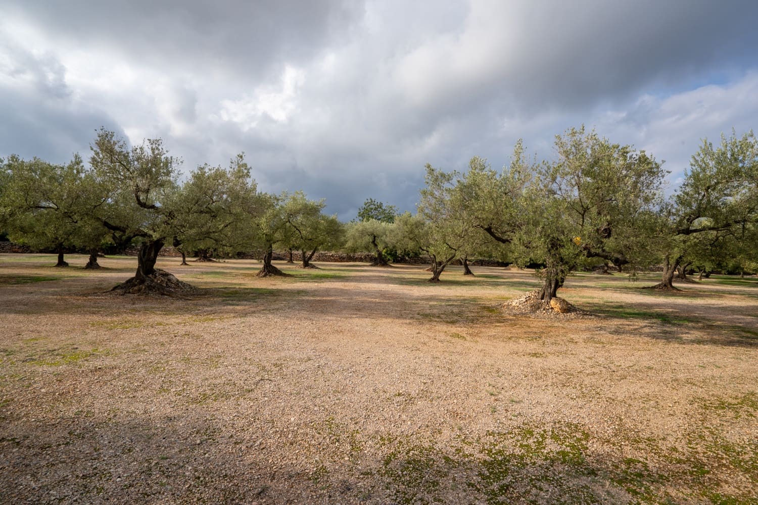 Finca/Herregård til salgs i Ulldecona - € 39 000 (Ref: 8604179)