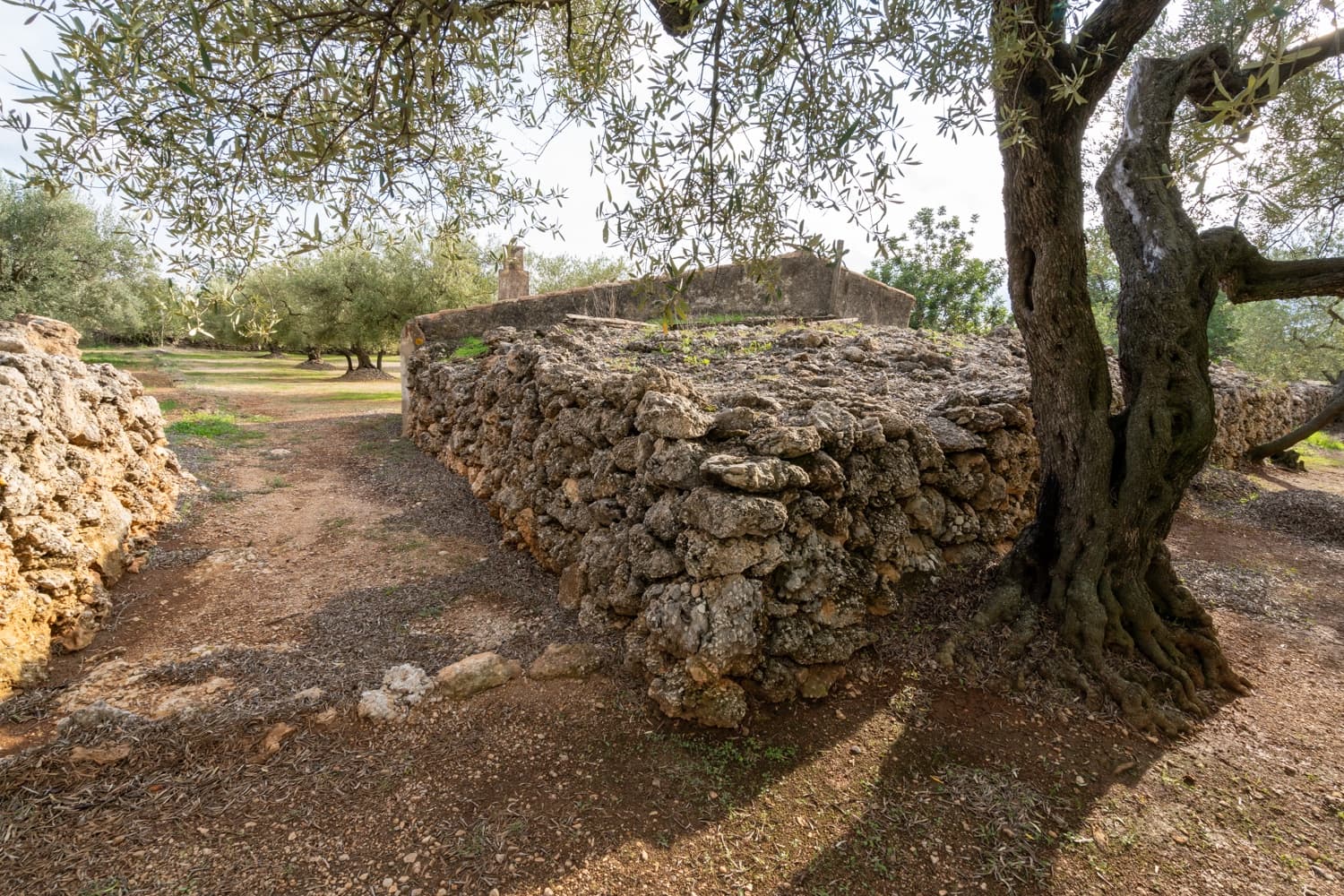 Finca/Herregård til salgs i Ulldecona - € 39 000 (Ref: 8604179)