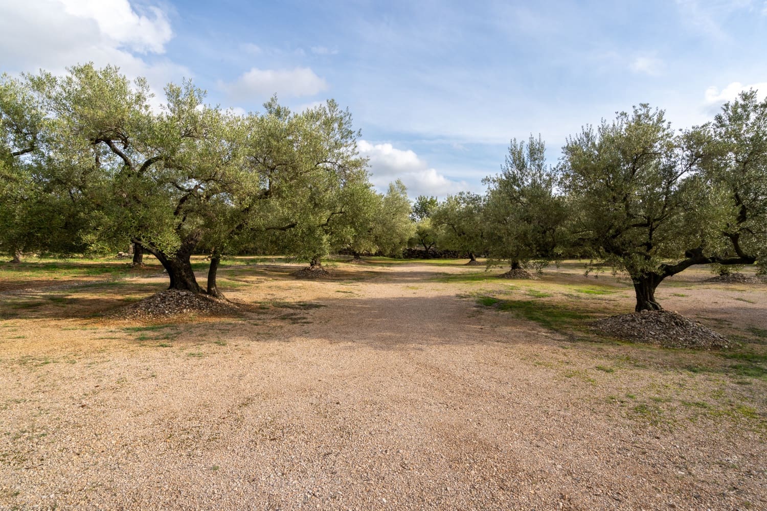 Finca/Herregård til salgs i Ulldecona - € 39 000 (Ref: 8604179)