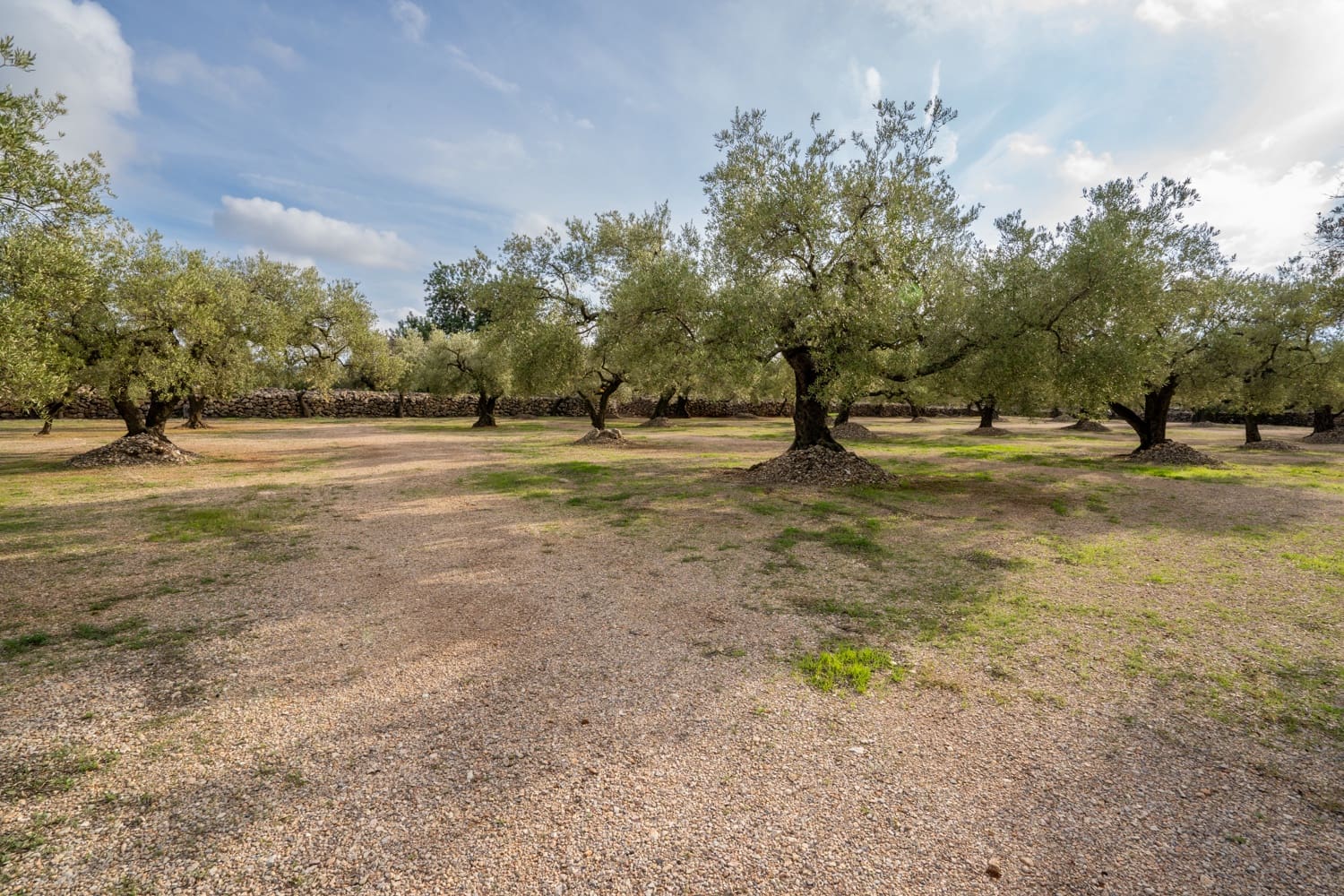 Finca/Herregård til salgs i Ulldecona - € 39 000 (Ref: 8604179)