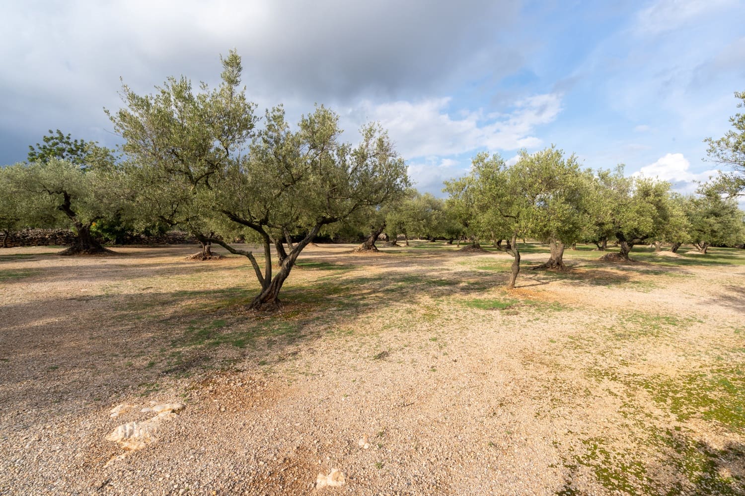 Finca/Herregård til salgs i Ulldecona - € 39 000 (Ref: 8604179)