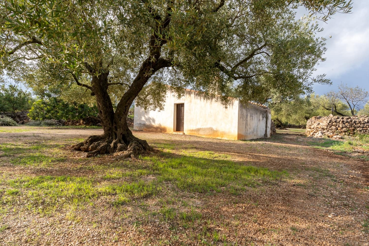Finca/Herregård til salgs i Ulldecona - € 39 000 (Ref: 8604179)