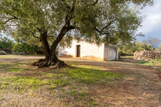 Finca/Country House for sale in Ulldecona - € 39,000 (Ref: 8604179)