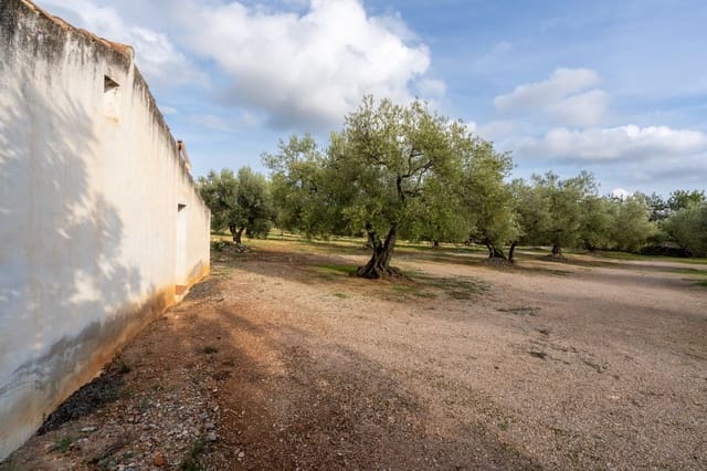 Quinta/Casa Rural para venda em Ulldecona - 39 000 € (Ref: 8604179)