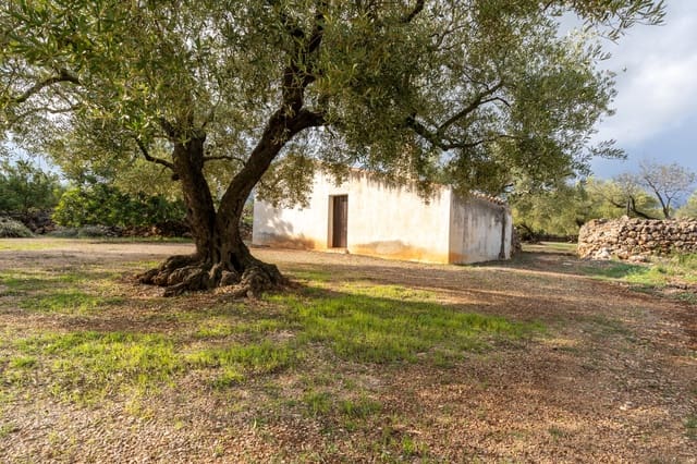 Quinta/Casa Rural para venda em Ulldecona - 39 000 € (Ref: 8604179)