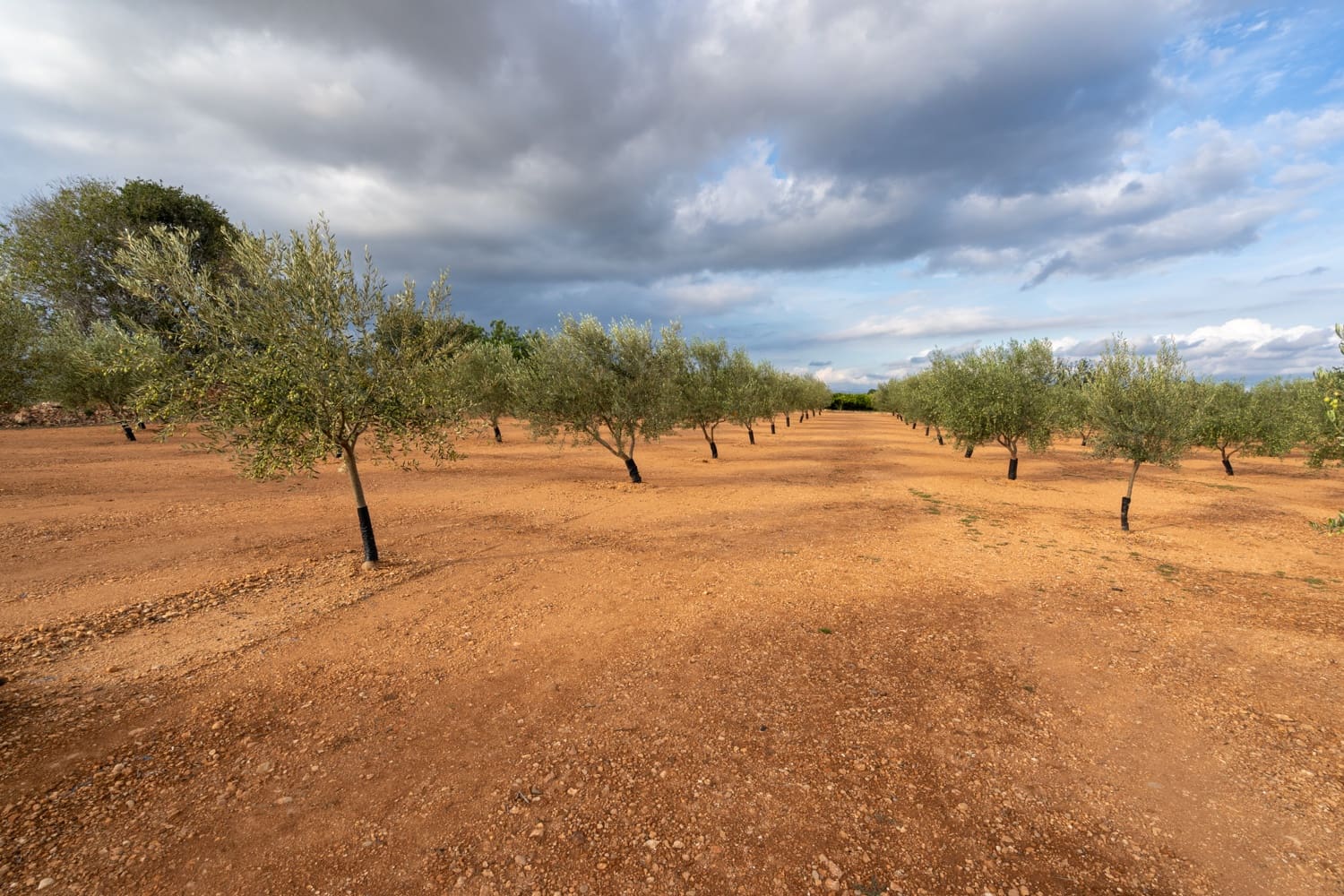 Finca/Casa di Campagna in vendita in Masdenverge - 45.000 € (Rif: 8604473)