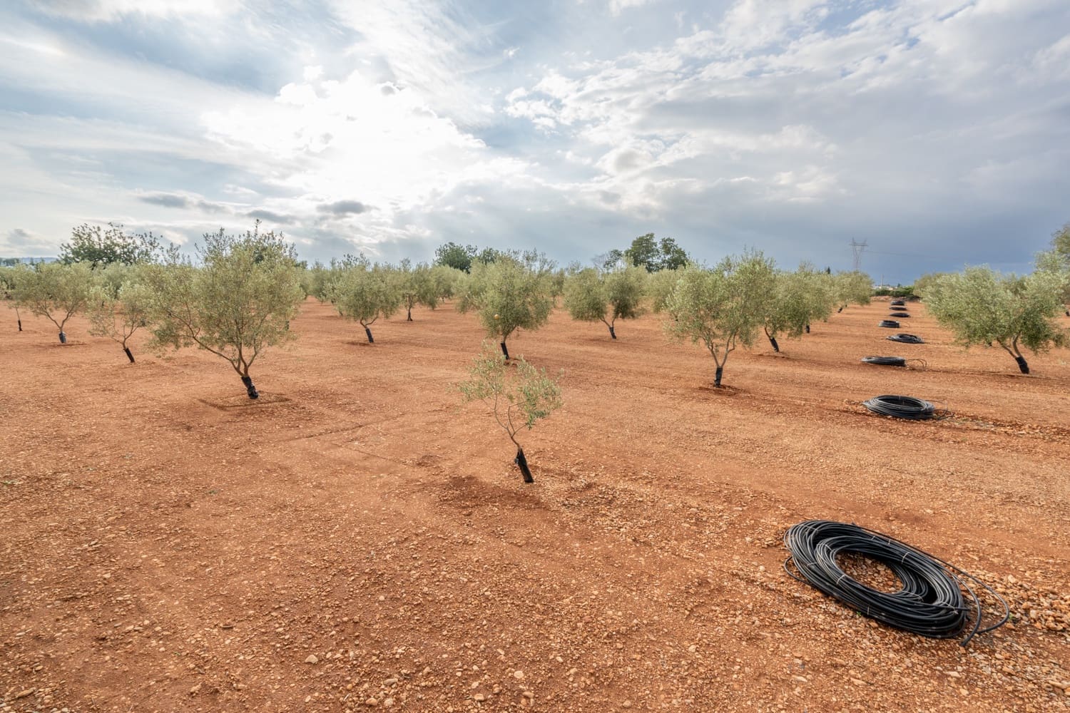 Finca/Casa di Campagna in vendita in Masdenverge - 45.000 € (Rif: 8604473)