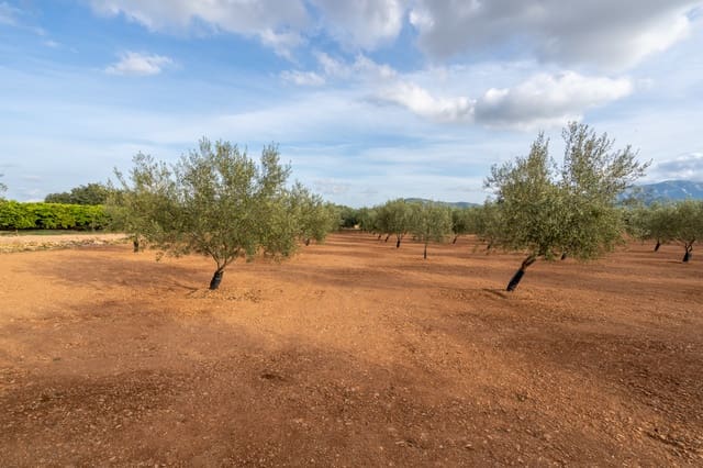 Finca/Casa di Campagna in vendita in Masdenverge - 45.000 € (Rif: 8604473)