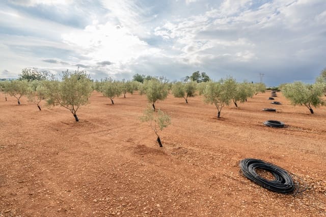 Finca/Casa di Campagna in vendita in Masdenverge - 45.000 € (Rif: 8604473)