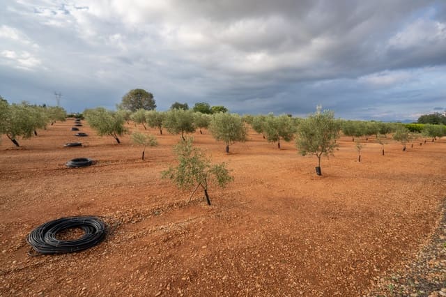 Finca/Casa di Campagna in vendita in Masdenverge - 45.000 € (Rif: 8604473)