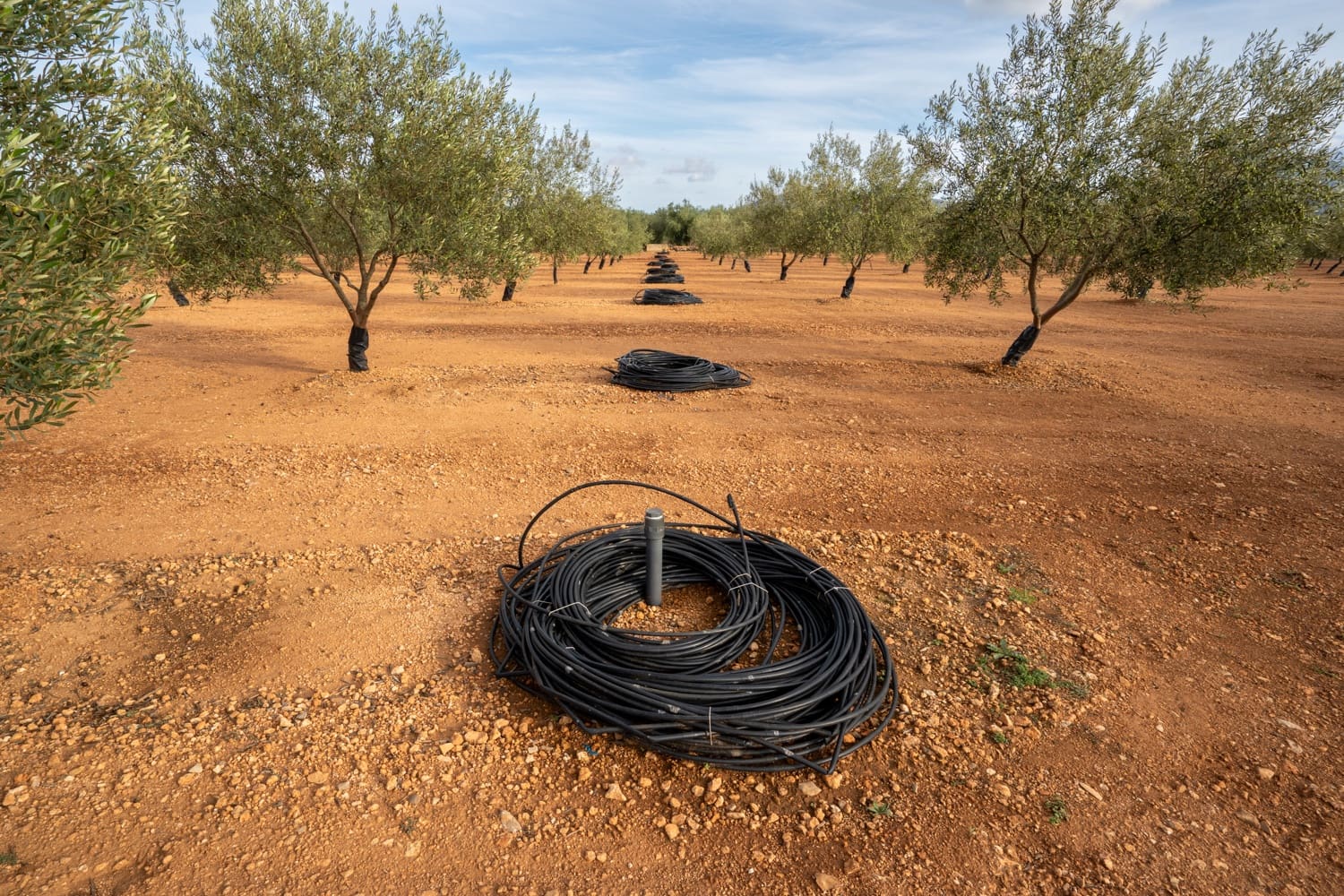 Finca/Casa di Campagna in vendita in Masdenverge - 45.000 € (Rif: 8604473)