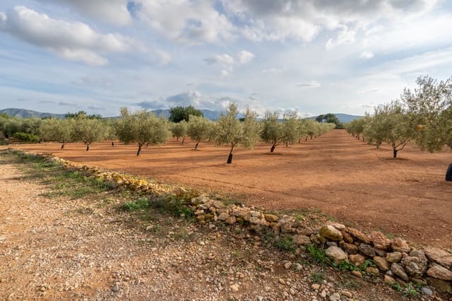 Finca/Casa di Campagna in vendita in Masdenverge - 45.000 € (Rif: 8604473)