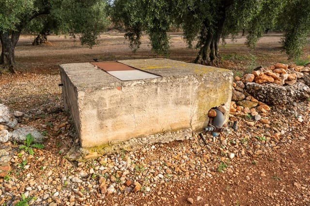 Finca/Casa di Campagna in vendita in Masdenverge - 45.000 € (Rif: 8604473)