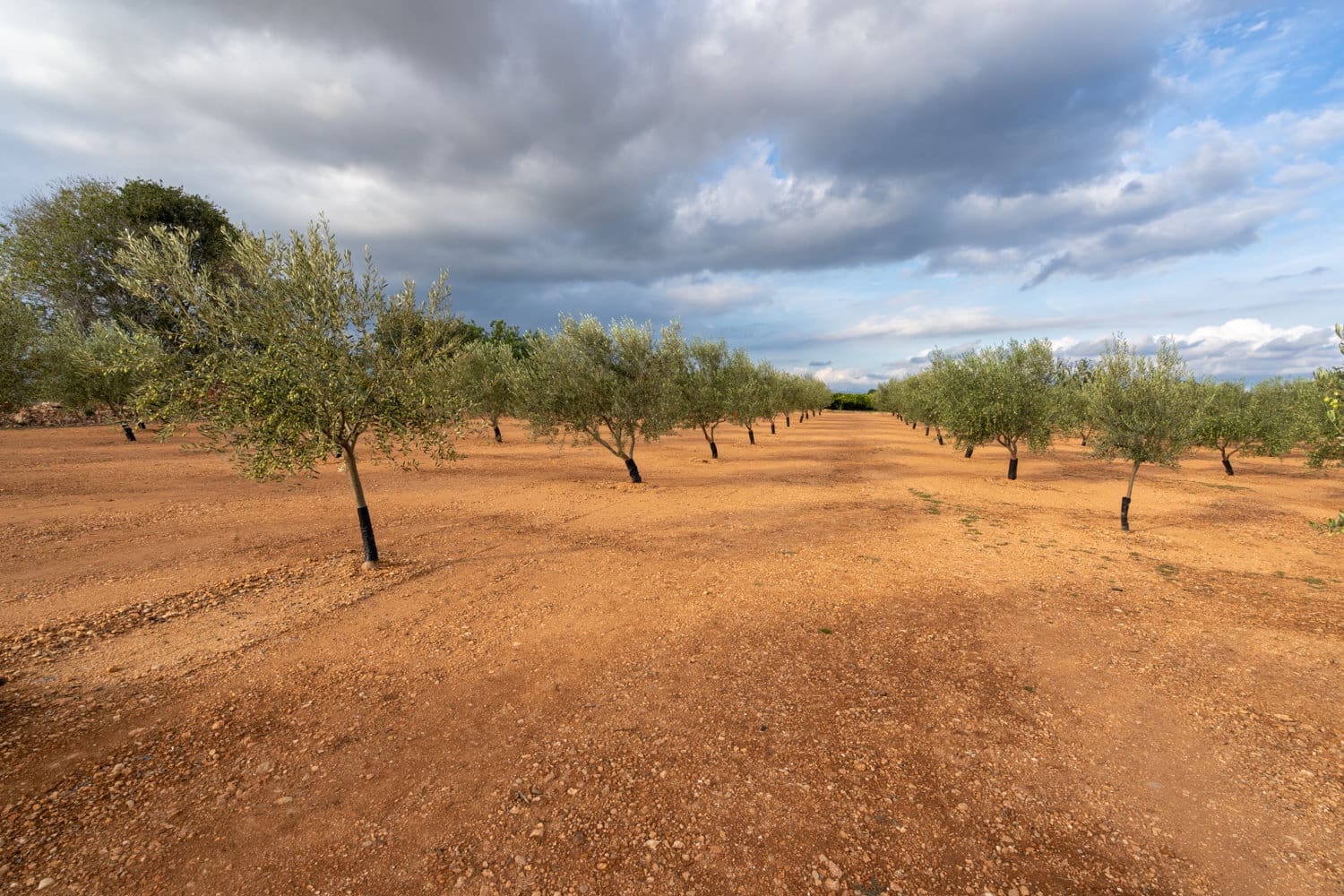 Finca/Casa di Campagna in vendita in Masdenverge - 35.000 € (Rif: 8604473)