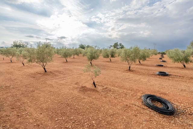 Finca/Casa di Campagna in vendita in Masdenverge - 35.000 € (Rif: 8604473)